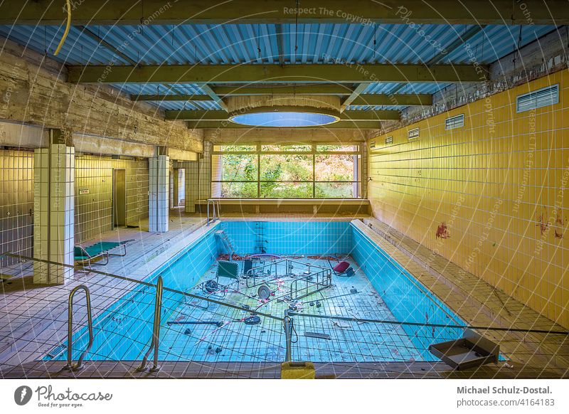 verlassener Pool mit Gartenblick abandoned urbex lostplace rotten decay deko interior interieur ruine Lost place Menschenleer lost places Ruine kaputt Becken