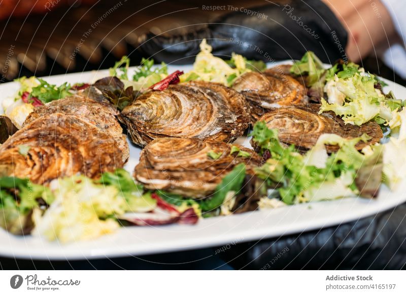 Gegrillte Meeresfrüchte mit Schale, serviert mit Grünzeug Grillrost Panzer Lebensmittel Feinschmecker Jakobsmuschel Mahlzeit lecker Speise Küche appetitlich