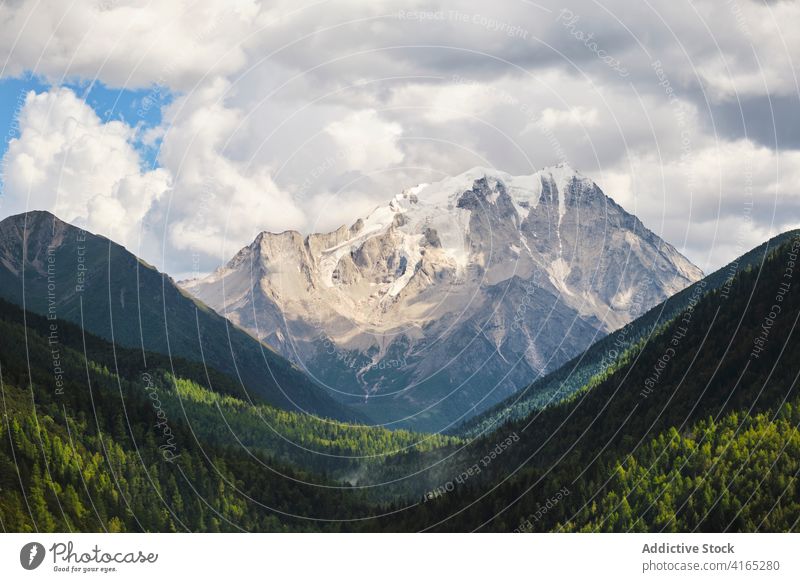 Verschneite atemberaubende hohe grüne Berge in Wolken Berge u. Gebirge Cloud Schnee hoch Landschaft malerisch felsig Hügel Tal Baum Nebel dick Tourismus ruhig