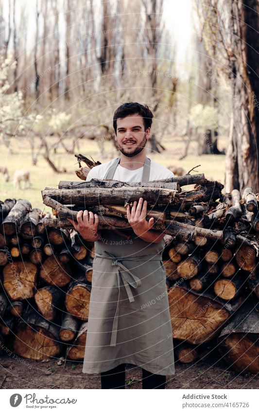 Mann nimmt Brennholz im Wald Picknick Totholz Ast Natur Schürze Haufen Holz männlich Sommer Baum Umwelt ländlich Landschaft frisch Saison vorbereiten hölzern