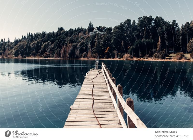 Holzsteg im See in der Nähe des Waldes hölzern Pier Kai Windstille Teich Landschaft Wasser sonnig Patagonien Südamerika nadelhaltig Gelassenheit Natur idyllisch