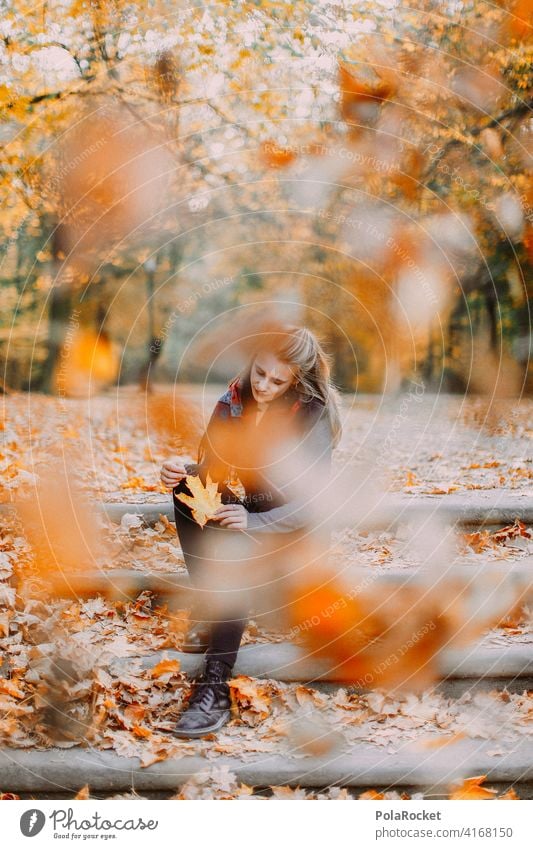 #A9# Im Herbst am Sitzen Außenaufnahme Herbstwetter Herbstlaub wandern positiv Spaziergang Haare & Frisuren draußensein erleben Natur Junge Frau Herbststimmung