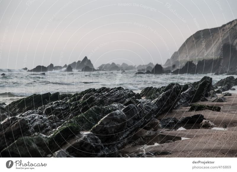 Felsen am Strand von Sao Pedro de Muel - Portugal Umwelt Natur Landschaft Pflanze Urelemente Sand Wasser Wassertropfen Himmel Sommer Klima Wetter