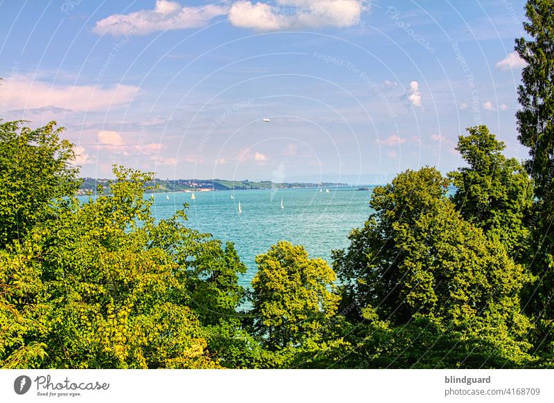 Der Bodensee, unendliche Weiten, Stern ... *ähm* Mahlzeit Mai 2020 ... Bäume Wasser Segelschiffe Freizeitsport Binnengewässer Binnensee Sommer Wolken Himmel