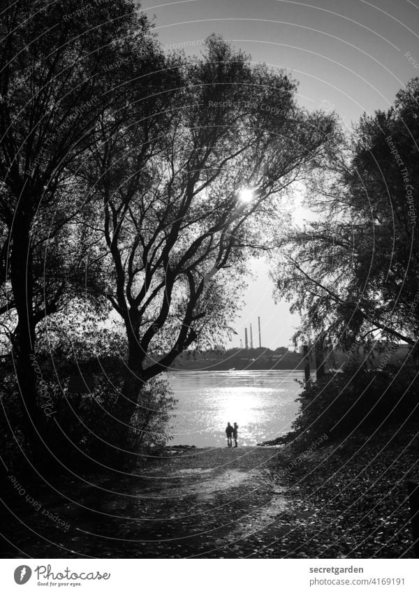 Umarmen im Rahmen. Romantik romantisch Schwarzweißfoto pärchen Paar Park Elbe Hamburg Sonnenlicht Reflexion & Spiegelung Wasser ufer Außenaufnahme Fluss