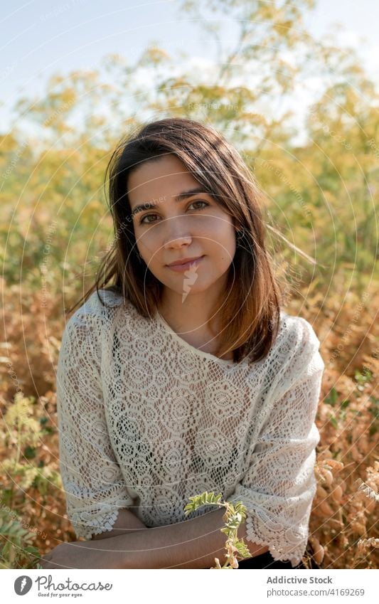 Charmante Frau auf einem Feld im Sommer sich[Akk] entspannen charmant Landschaft Kälte Angebot Lächeln Wiese ruhen Windstille Gelassenheit Gras idyllisch lässig