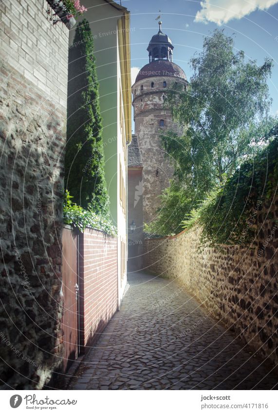 kleine enge alte Gasse Architektur Weltkulturerbe Altstadt Baum Efeu authentisch lang historisch Stil Vergangenheit Altertum Steinmauer Kopfsteinpflaster