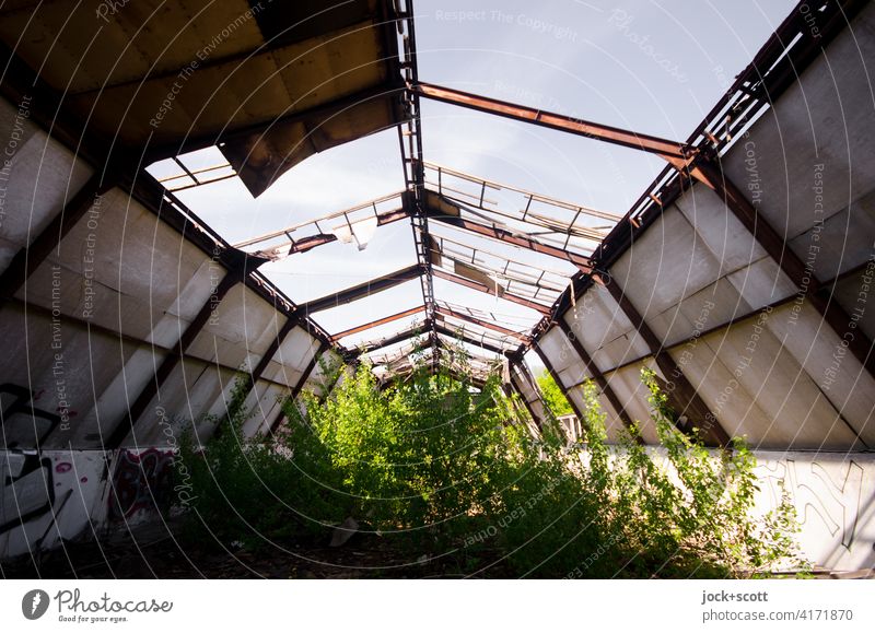 Grün wirkt verloren im Raum lost places Verfall Architektur Zahn der Zeit Strukturen & Formen Wandel & Veränderung Endzeitstimmung Ruine kaputt Symmetrie