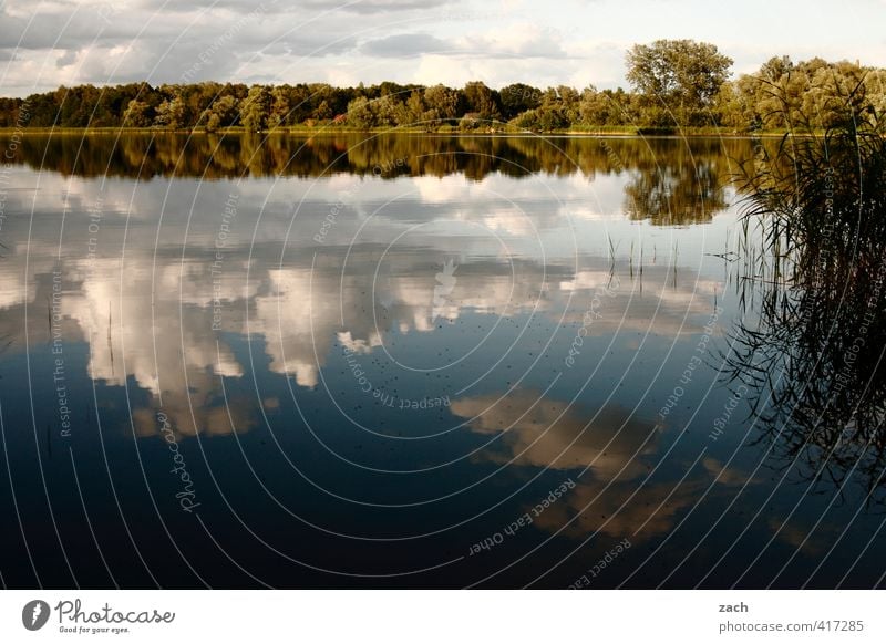 SeelenRuhe Wassersport Schwimmen & Baden Umwelt Natur Landschaft Himmel Wolken Frühling Sommer Schönes Wetter Baum Wald Küste Seeufer Flussufer Teich Erholung