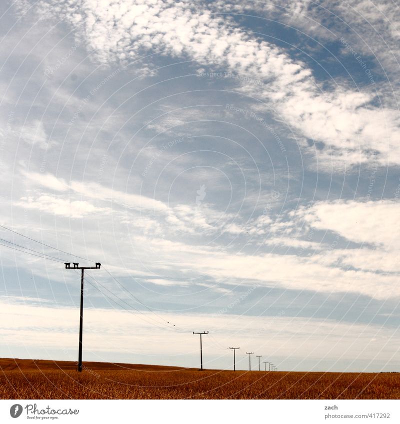 Weites Land Getreide Ausflug Sommer Energiewirtschaft Umwelt Natur Landschaft Himmel Wolken Herbst Schönes Wetter Pflanze Nutzpflanze Feld Wachstum