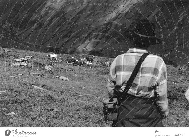 Bergbauer_3 Rind Einsamkeit Berge u. Gebirge Landwirt Alm Landschaft