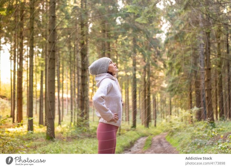 Ruhige Frau genießt den Morgen im Wald genießen Freiheit Reisender erkunden ruhig Fernweh Abenteuer Wälder früh Sonnenlicht Sonnenaufgang Morgendämmerung Natur