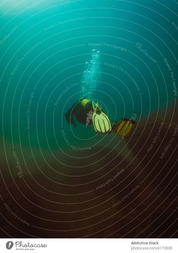 Taucher schwimmt in der Tiefsee zwischen der Wasservegetation unter Wasser Fisch Natur MEER farbenfroh Hintergrund Meer blau Umwelt tropisch Abenteuer