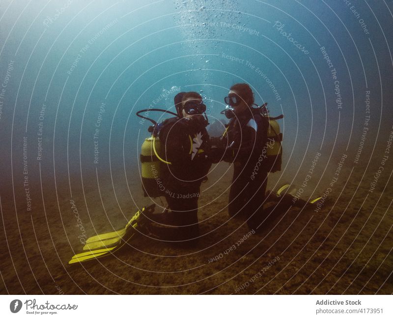 Taucher schwimmen in der Tiefsee zwischen der Wasservegetation unter Wasser Fisch Natur MEER farbenfroh Hintergrund Meer blau Umwelt tropisch Abenteuer