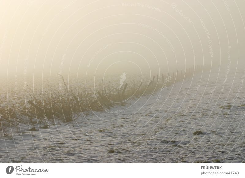 Nebellicht Licht Feld Winter Stimmung diffus kalt Frost