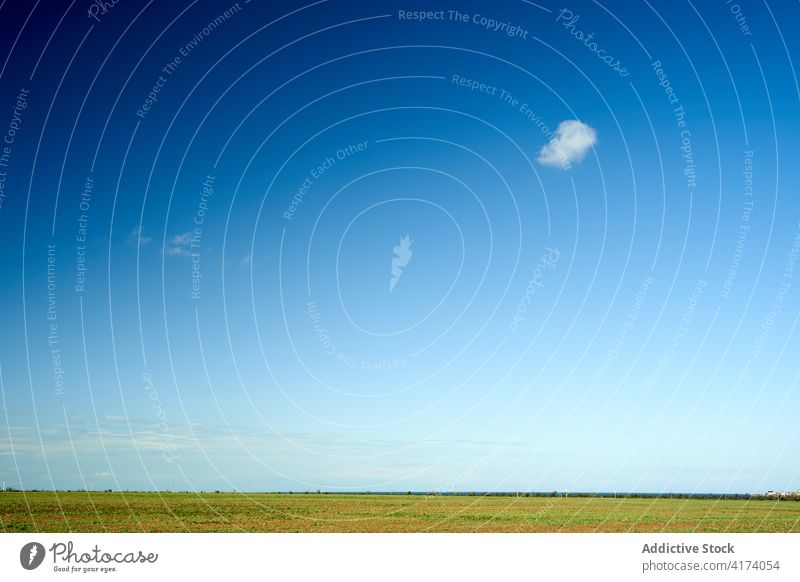 Erstaunlich blauer Himmel über grünem Feld Blauer Himmel Landschaft Himmel (Jenseits) Wiese sonnig Harmonie Natur malerisch sehr wenige Sommer prunkvoll Gras