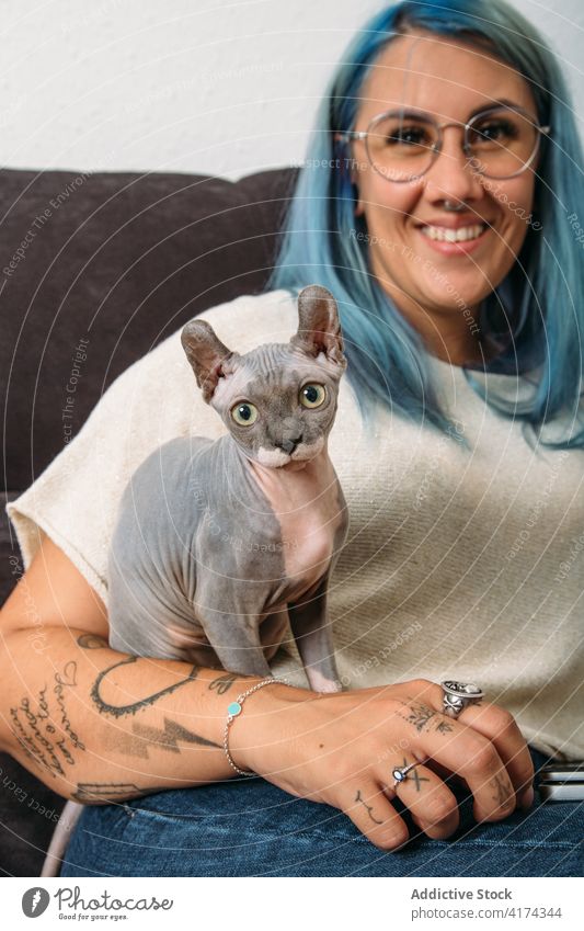 Glückliches Weibchen mit haarloser Katze Frau Sofa ruhen Lächeln heimwärts Haustier Besitzer niedlich lässig Liege heimisch Freude sphynx Tier Lifestyle heiter