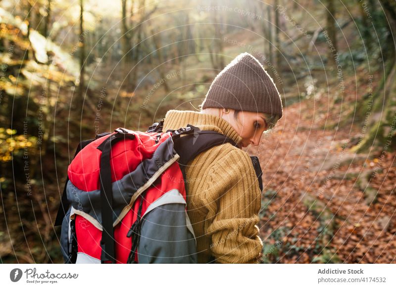 Reisender mit Fotoapparat im Wald Fotograf Wälder Abenteuer bewundern Natur Urlaub reisen Tourismus Sommer Tourist genießen Hobby Rucksack Landschaft Wochenende