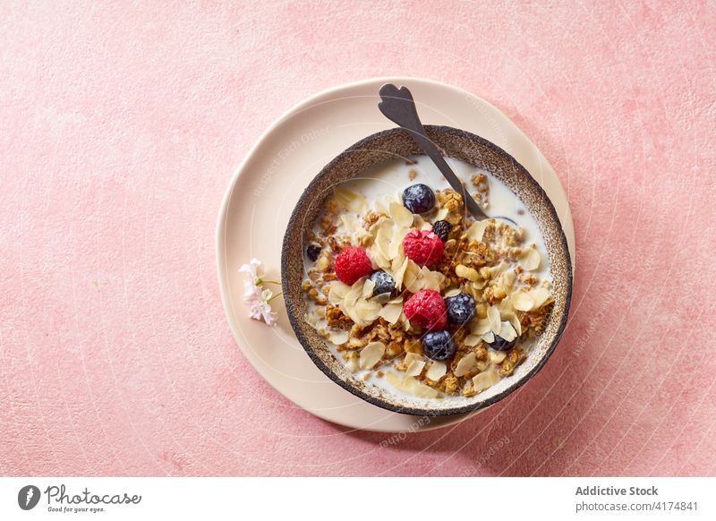 Frühstück mit Müsli, Beeren und Milch Lebensmittel Gesundheit organisch Frucht Schalen & Schüsseln Korn Diät Schuppen Snack Joghurt melken frisch natürlich süß