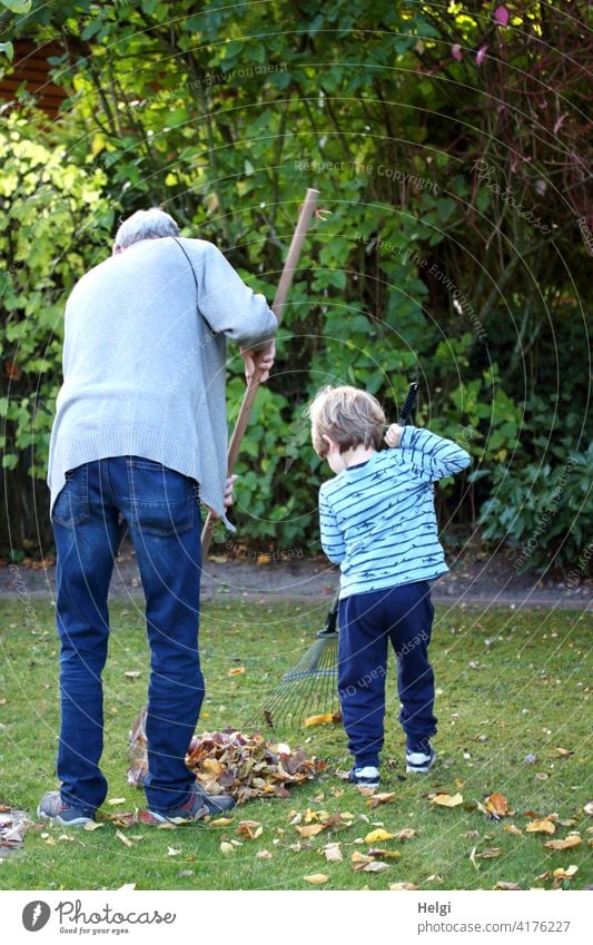 ein tolles Team - Rückansicht von Opa und Enkel, die im Garten Laub harken Großvater Kind Kleinkind Herbst gemeinsam zwei Menschen Gartenarbeit Hobby Freizeit