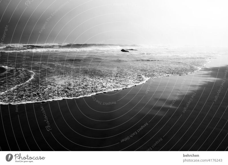 wunderbar einsam Gegenlicht Sonnenlicht Kontrast Licht Tag Einsamkeit Außenaufnahme Menschenleer ruhig genießen träumen knysna brenton on sea Südafrika Strand