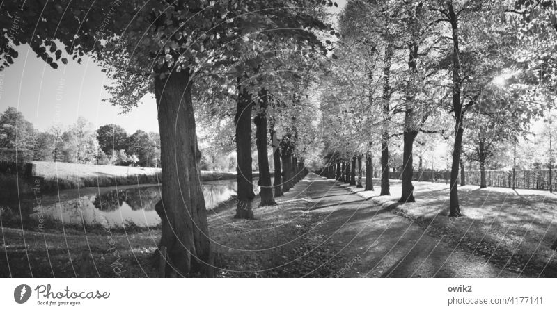 Royaler Glanz Barockgarten Park Schwarzweißfoto Idylle Herrenhäuser Gärten Totale Sehenswürdigkeit historisch berühmt Schönes Wetter Flora Umwelt Baum