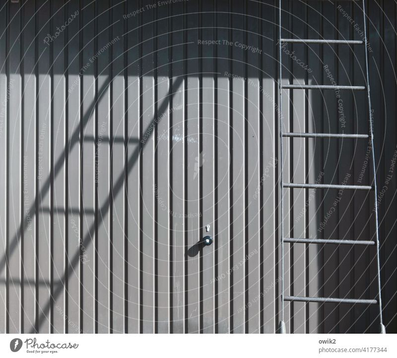 Abschlussbericht Tor Garagentor Blech Leiter Außenaufnahme Schwarzweißfoto Detailaufnahme streng Linien Sonnenlicht Schatten einfach sperrig Menschenleer Metall