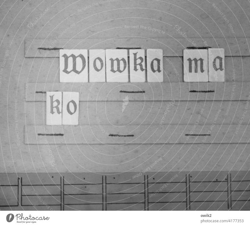 Sorbische Schule Schriftzeichen Präzision Vergangenheit akkurat Nostalgie fein säuberlich historisch Großbuchstabe alt Lateinisches Alphabet slawisch