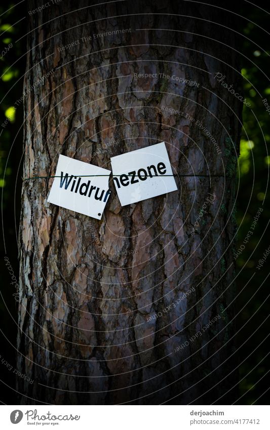 Die gebrochene Wildruh..ezone. Zerbrochenes  Hinweis  Schild an einem Baum. Schilder & Markierungen Hinweisschild Außenaufnahme Schriftzeichen Nahaufnahme