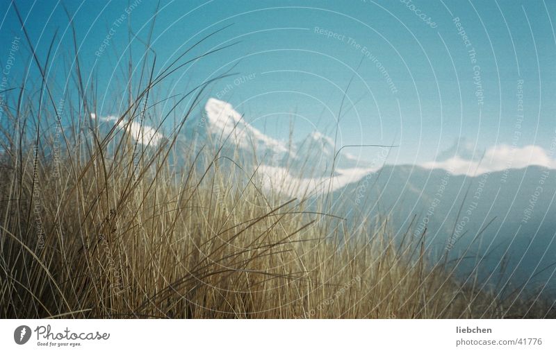 Gras+Berge Gipfel Nepal Berge u. Gebirge Schnee