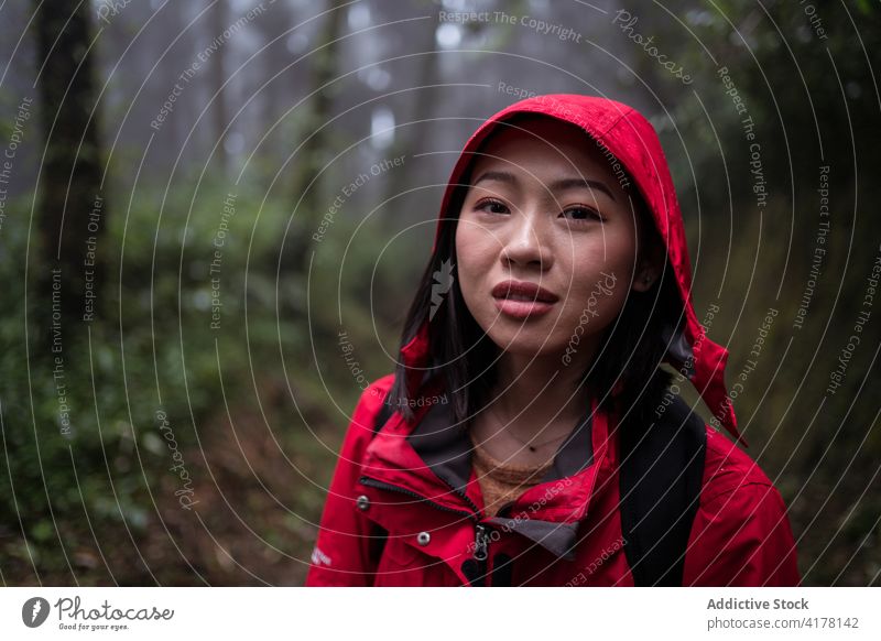 Junge ethnische Frau beim Wandern im Wald bei regnerischem Wetter Wanderung Regen Natur erkunden Reisender Treppenhaus Aktivität jung asiatisch Abenteuer