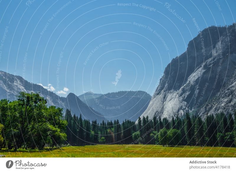 Felsige Berge und immergrüner Wald an einem sonnigen Tag Yosemite NP Berge u. Gebirge Landschaft Hochland Felsen Wälder Wahrzeichen national Park yosemite