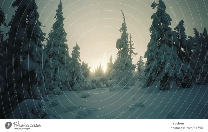 Winterkitsch Baum Schneekuppe Sonne Berge u. Gebirge