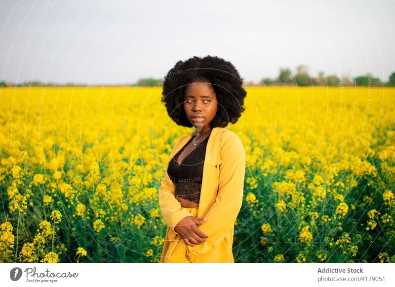 Schwarze Frau stehend im blühenden gelben Feld Blume farbenfroh pulsierend besinnlich hell Blütezeit jung Afroamerikaner schwarz ethnisch Afro-Look krause Haare