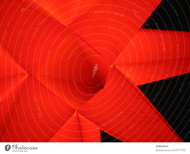 Sternstunde Weihnachtsstern Licht Lampe rot schwarz Häusliches Leben Weihhnachten