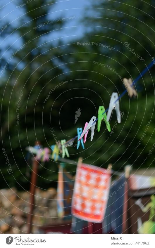 Waschtag Häusliches Leben Garten Sommer Schönes Wetter Bekleidung hängen nass trocken fleißig Ordnungsliebe Reinlichkeit Sauberkeit Reinheit Wäsche waschen