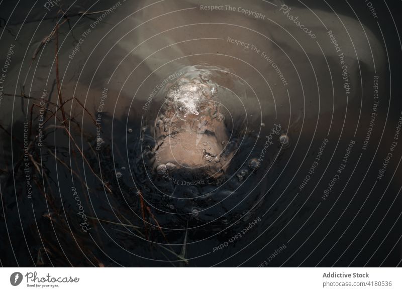 Unerkannter Reisender in reinem See mit Wasserblasen am Abend schwimmen Natur Schaumblase Gewebe Pflanze vegetieren Frau wellig idyllisch klein wachsen