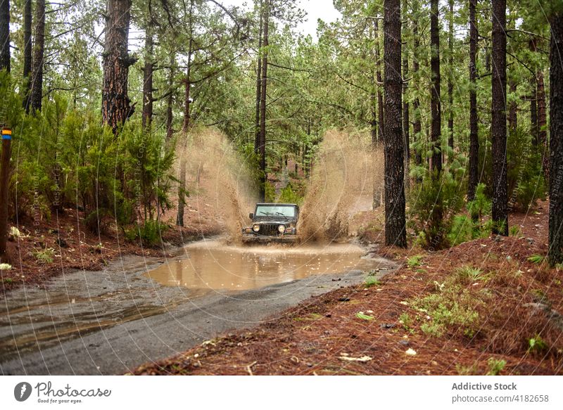 Off-Road-Auto auf unbefestigtem Weg im Wald Geländewagen PKW Laufwerk Pfütze ländlich Straße Fahrzeug Schmutz Motor schlammig Autoreise Landschaft modern