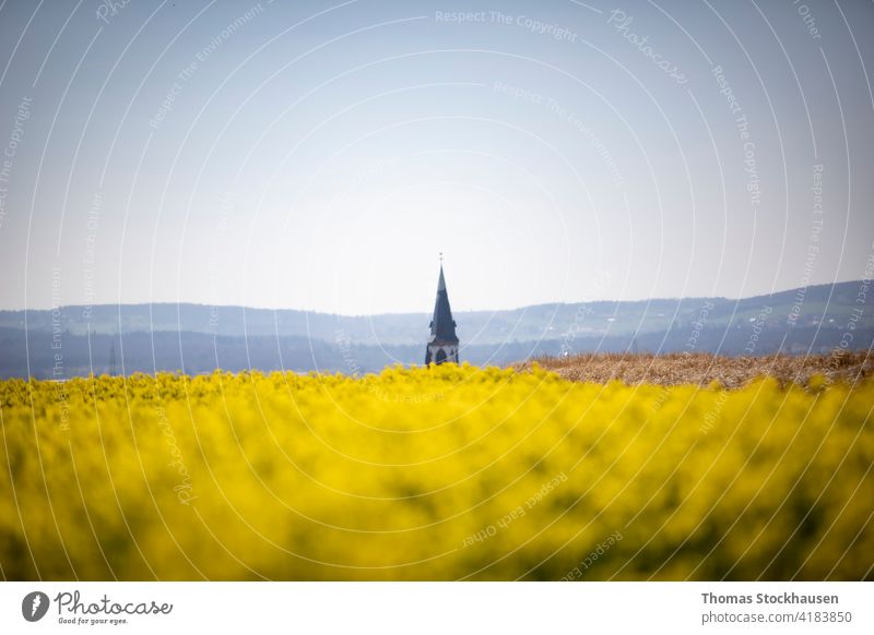 Brassica napus, blühendes Rapsfeld, dahinter ein kleiner Kirchturm, im Hintergrund kleine Hügel Ackerbau Biografie Blüte blau brassica christian Kirche Kohle