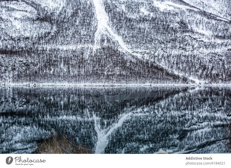 See vor einem Berghang im Winter Berge u. Gebirge Reflexion & Spiegelung Wasser Landschaft Schnee sanft Norwegen Oberfläche ruhig laublos Baum Umwelt friedlich