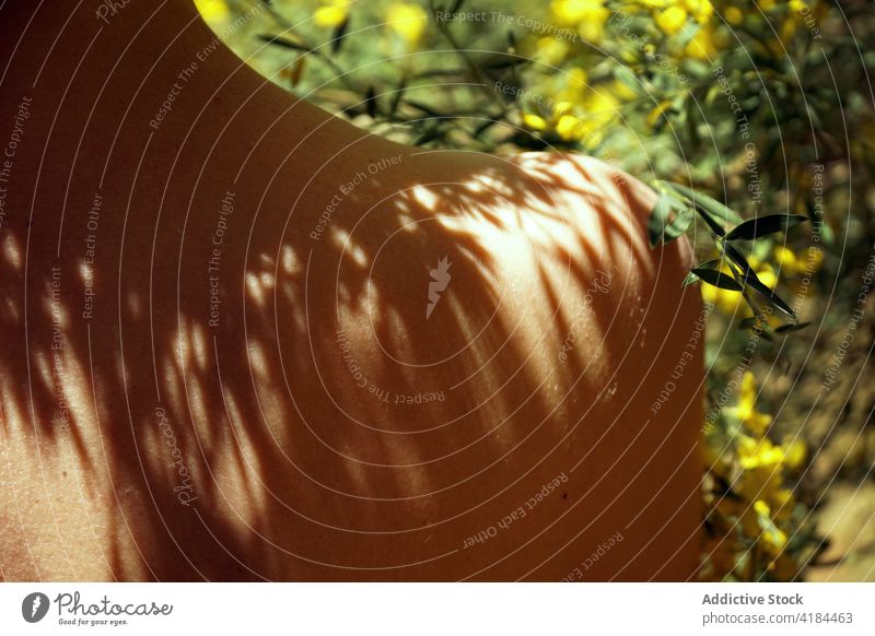 Unerkennbare Frau mit Schatten auf dem Körper, die sich im blühenden Garten erholt sich[Akk] entspannen Blume Blütezeit nackte Schultern sanft feminin Angebot