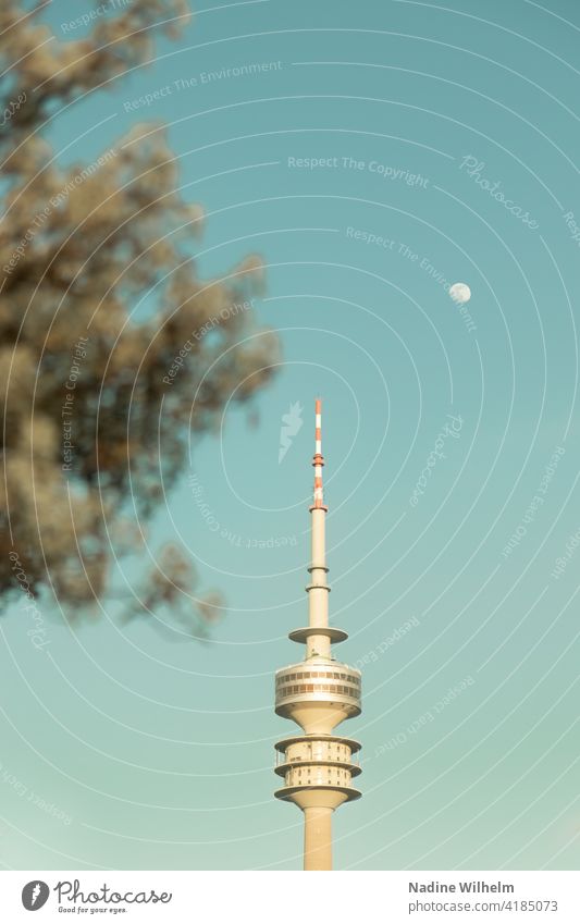 Olympiaturm in München Olympiapark Baum Morgen Hell Außenaufnahme Farbfoto Himmel Architektur Wahrzeichen Park Tag Sehenswürdigkeit Menschenleer Turm Gebäude