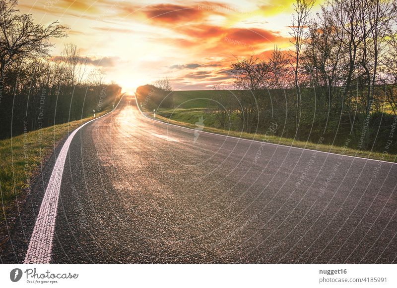 westwärts - Sonnenuntergang am Ende der Straße sonnenuntergang sonnenaufgang Himmel bitumen Linie linien Morgen Sonnenaufgang Abend Natur Baum Licht