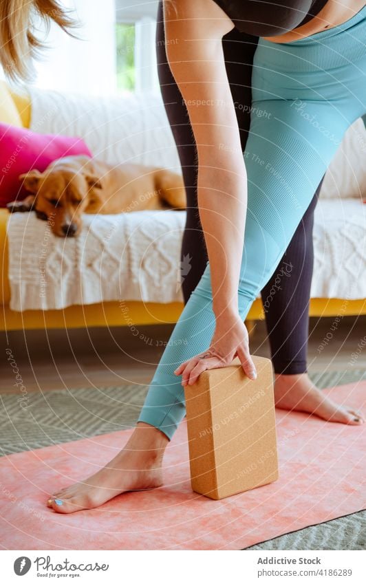 Crop Frau macht Yoga in Triangle asana mit Hilfe von Lehrer Triangel-Pose hölzern Klotz Ausbilderin Personal Klasse trikonasana beweglich Körper