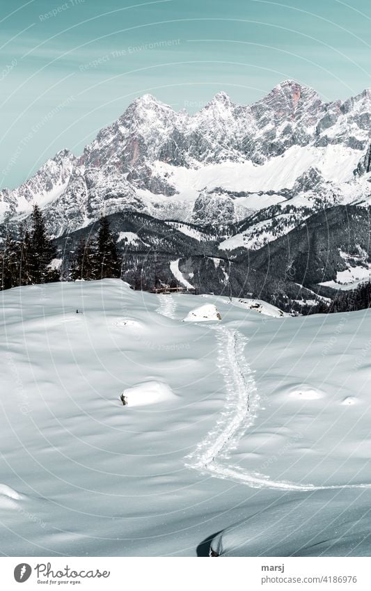 Ja, es gibt ihn noch, den Schnee auf den Bergen. Schneefeld, im Hintergrund Hochwurzen und das Dachsteinmassiv. wandern Ferien & Urlaub & Reisen Schönes Wetter