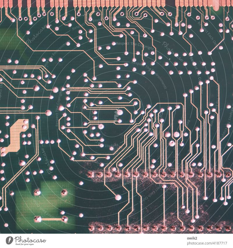 Verbindungsnachweis Platine Internet High-Tech Zukunft Fortschritt Technik & Technologie Kontakt Metall Kunststoff Zusammensein klein viele Erfolg