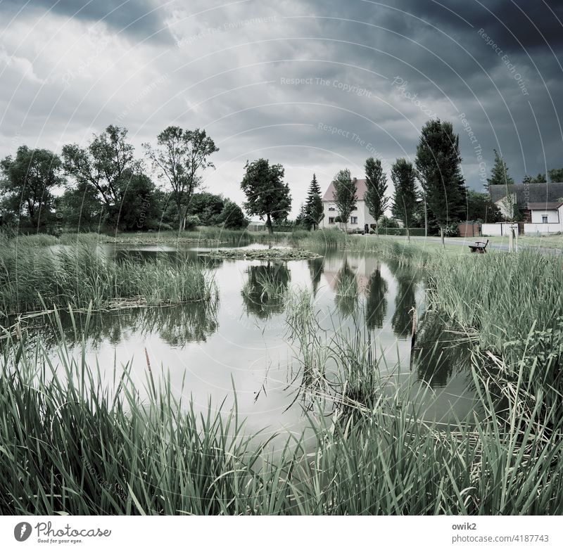 Verwurzelt Landkreis Teltow-Fläming Seeufer Sträucher Dorfidylle Wasseroberfläche Farbfoto Außenaufnahme Windstille ruhig Haus Fenster Tür Dach Deutschland