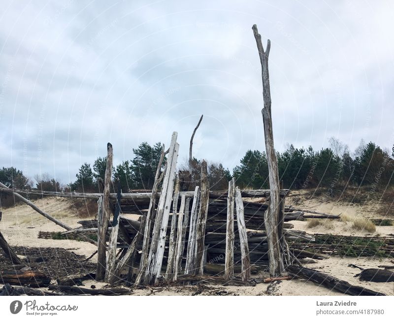 Konstruktion aus Treibholz am Strand Strandleben Sand Holz alte Bäume MEER Küstenlinie Wintertag Ostsee Wasser Sandstrand bewölktes Wetter Wolkenhimmel Ferne