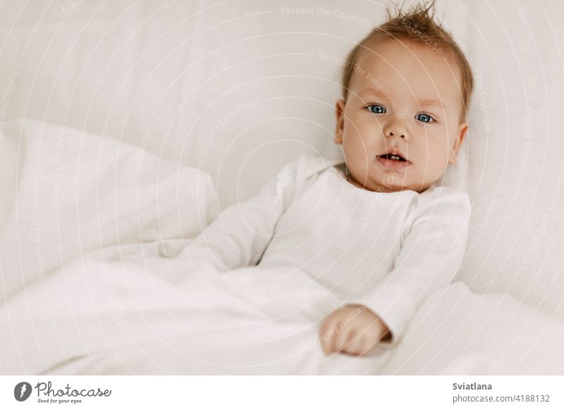 Das Kind liegt in einem schneeweißen Bett unter der Decke, lacht und schwelgt Baby Familie Spaß Sitzen Spielzeug Gesundheit heimwärts Schneewittchen