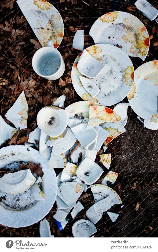 Kaputtes Geschirr abfall chaos geschirr glück hausrat hausstand kaputt müll polterabend porzellan scherben tasse teller wohlstand wohlstandsmüll zerschlagen